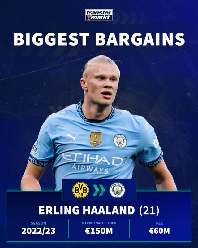 引发众怒，电讯报：摩洛哥为承办国际赛事大规模捕杀流浪狗